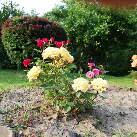 Vikend Kuca Ivkovic Дом отдыха Рудник