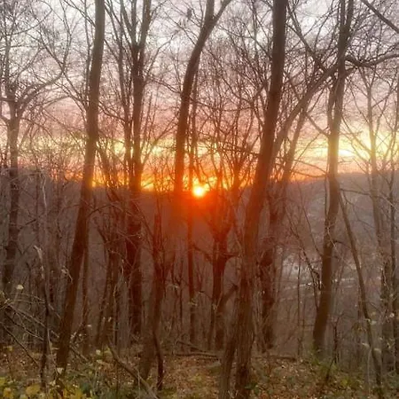 Дом отдыха Vikend Kuca Ivkovic Рудник