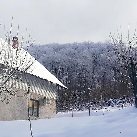 Vikend Kuca Ivkovic Rudnik