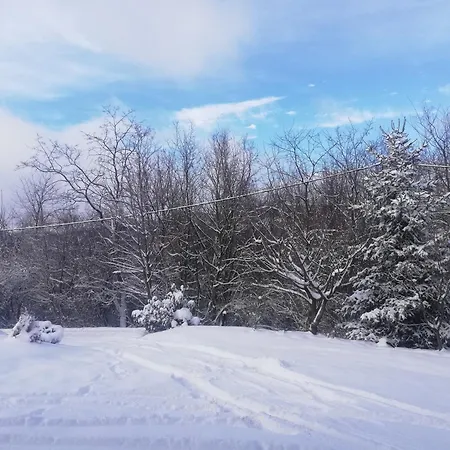 Vikend Kuca Ivkovic Rudnik