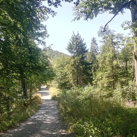 Vikend Kuca Ivkovic Дом отдыха *