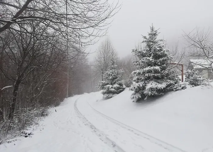 Vikend Kuca Ivkovic Rudnik