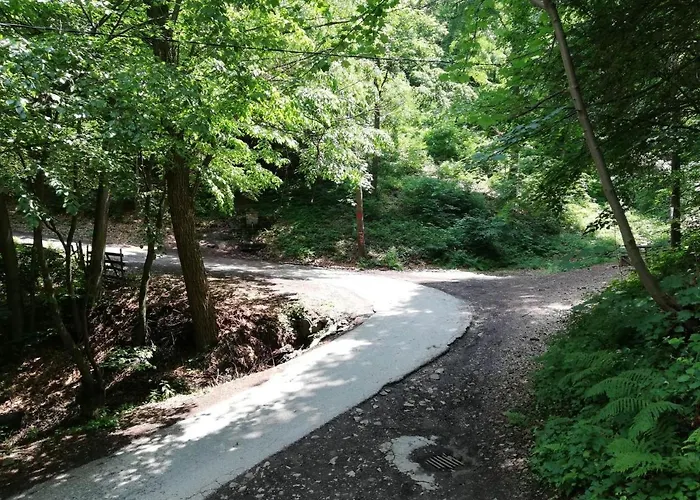 Vikend Kuca Ivkovic Rudnik