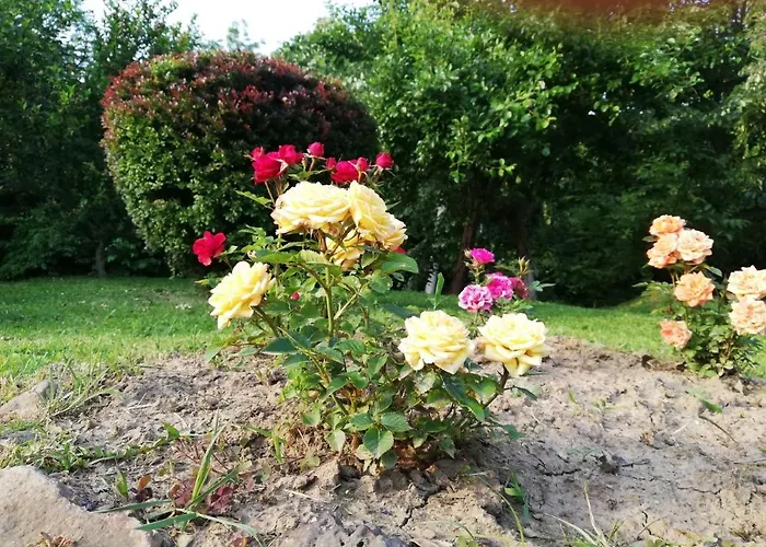 Vikend Kuca Ivkovic Case de vacanță Rudnik