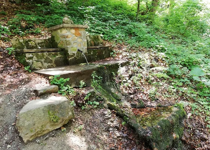 Case de vacanță Vikend Kuca Ivkovic *