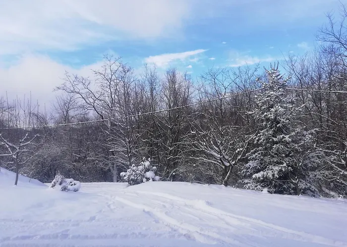Vikend Kuca Ivkovic Rudnik