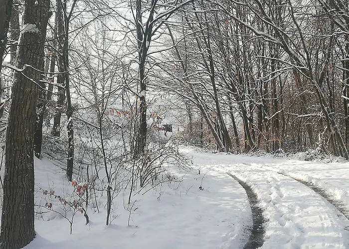 Case de vacanță Vikend Kuca Ivkovic