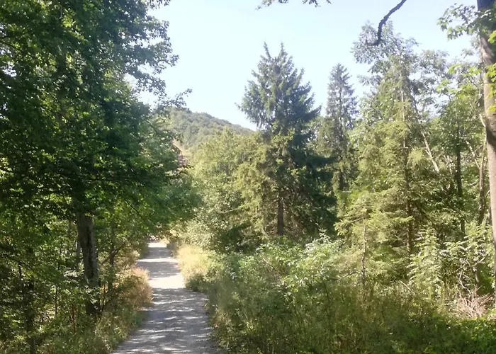 Vikend Kuca Ivkovic Case de vacanță *