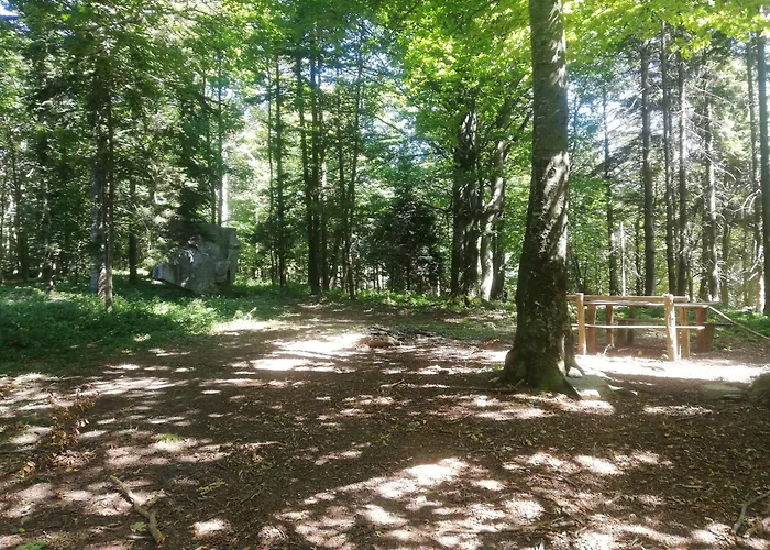 Vikend Kuca Ivkovic Case de vacanță Rudnik